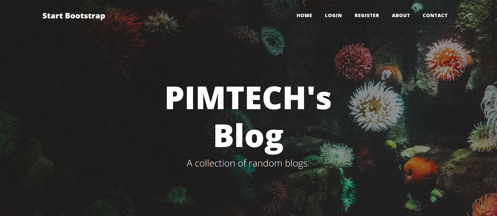 Building My First Web App: What I Learned About Web Development in My Course Article content